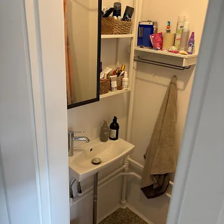 Lägenhet M Altan I Lyngby *